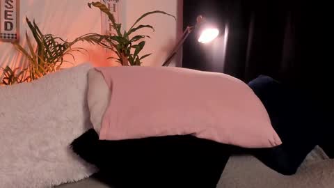 Serenity online show from 01/29/25, 11:14