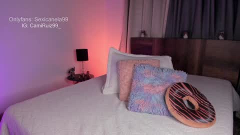 Snapshot of sexicanela99 chatting on 12/11/24, 01:49 ... Camila ... online show from 12/11/24, 01:49