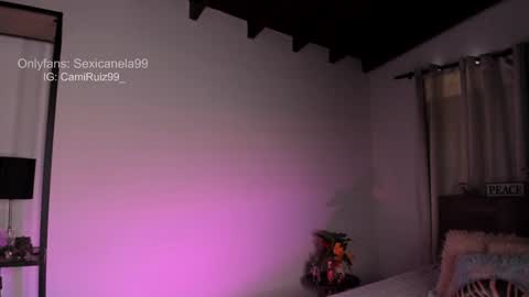 Snapshot of sexicanela99 chatting on 12/30/24, 04:40 ... Camila ... online show from 12/30/24, 04:40