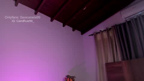 Snapshot of sexicanela99 chatting on 01/08/25, 04:11 ... Camila ... online show from 01/08/25, 04:11
