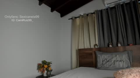 Snapshot of sexicanela99 chatting on 01/28/25, 04:52 ... Camila ... online show from 01/28/25, 04:52