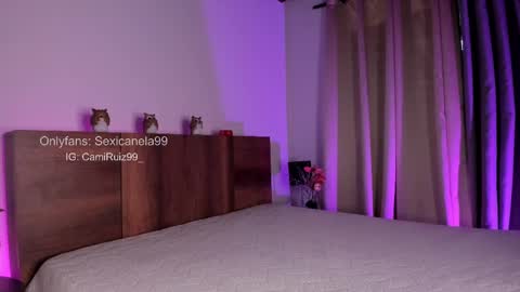 Snapshot of sexicanela99 chatting on 02/14/25, 04:09 ... Camila ... online show from 02/14/25, 04:09