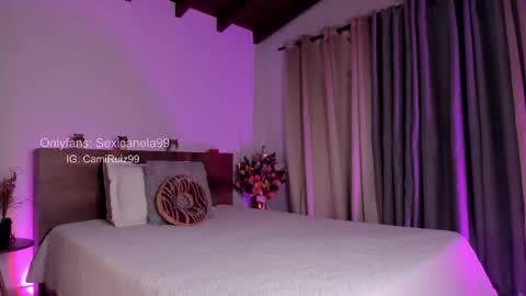 Snapshot of sexicanela99 chatting on 02/19/25, 01:17 ... Camila ... online show from 02/19/25, 01:17