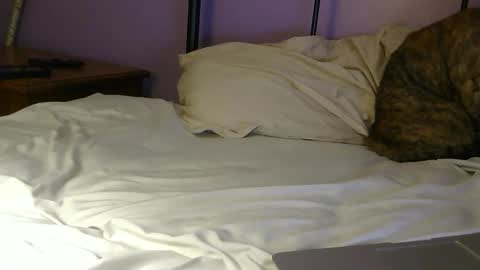 Snapshot of sexxxylibra10 chatting on 04/25/26, 07:55 sexxxylibra10 online show from 04/25/26, 07:55
