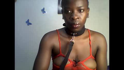 Ann online show from 06/11/26, 10:57