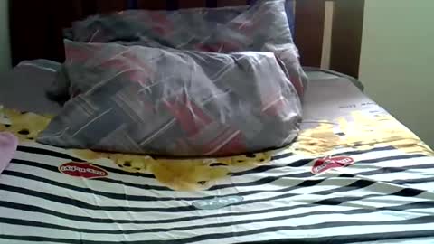 Snapshot of sexy_bee5 chatting on 11/09/25, 11:41 squirt lola online show from 11/09/25, 11:41