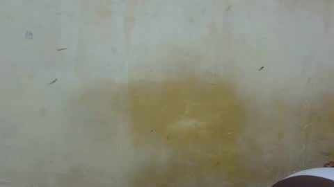 Snapshot of sexy_candy9 chatting on 01/13/26, 07:30 sexy_candy9 online show from 01/13/26, 07:30