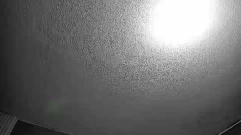 ELY online show from 06/20/26, 07:38