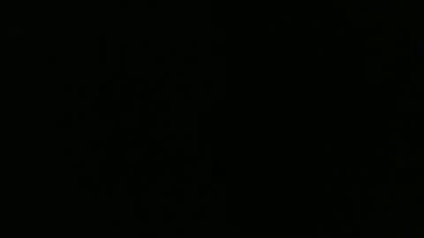 sexy_string online show from 01/19/25, 05:49