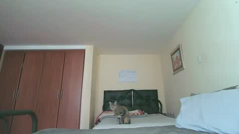 Alice Skay online show from 07/27/26, 02:24