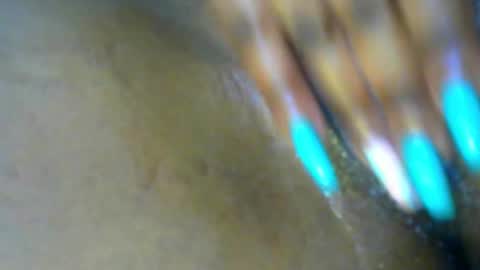 Snapshot of sexybaddie_ chatting on 11/19/25, 12:49 Lisa online show from 11/19/25, 12:49