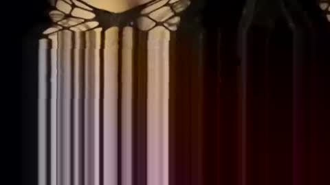 Snapshot of sexycplluv chatting on 01/12/26, 04:23 Forever Erotica online show from 01/12/26, 04:23