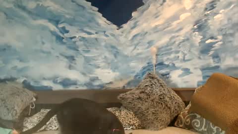 ENI pvt moan your name  WHEN I M NOT online you tell me in SNAPCHAT deal yes add me...  FREE TWITTER magiconline101...... online show from 02/22/25, 11:46