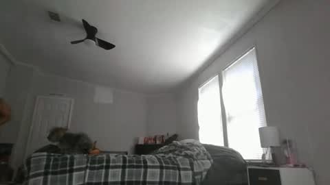 Snapshot of sexyfl440703 chatting on 10/31/25, 03:46 sexyfl440703 online show from 10/31/25, 03:46