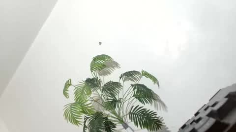 Snapshot of sexyhotbabe18 chatting on 03/07/26, 09:56 sexyhotbabe18 online show from 03/07/26, 09:56