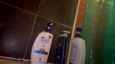 Snapshot of sexyhottie8 chatting on 01/11/26, 12:37 sexyhottie8 online show from 01/11/26, 12:37