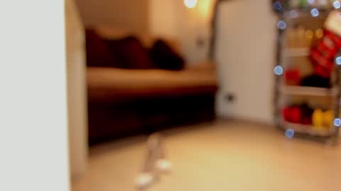 katalina larson online show from 12/29/24, 06:03