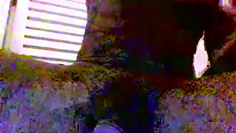 Snapshot of sexynudistdaddycockm chatting on 11/24/25, 05:51 sexynudistdaddycockm online show from 11/24/25, 05:51