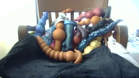 Snapshot of shakespeareisahomie chatting on 11/16/25, 03:06 shakespeareisahomie online show from 11/16/25, 03:06