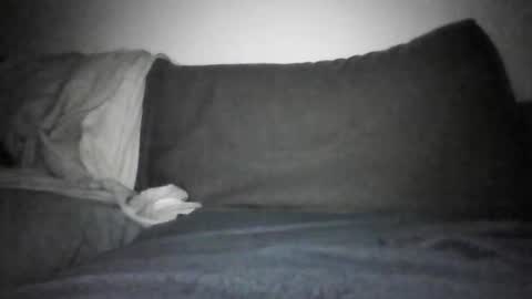 Snapshot of shamefullyshort chatting on 12/17/25, 06:14 Shorty online show from 12/17/25, 06:14