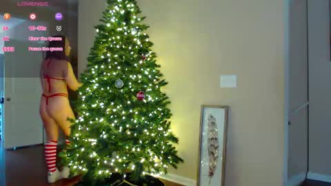 Snapshot of shameless_shalynn chatting on 12/02/25, 04:24 Shalynn online show from 12/02/25, 04:24