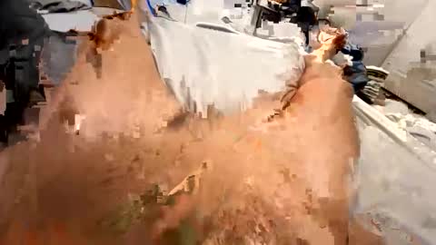 shamgod21 online show from 05/04/26, 02:07