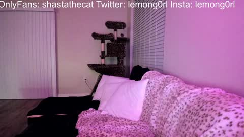 Shasta online show from 12/15/24, 03:56