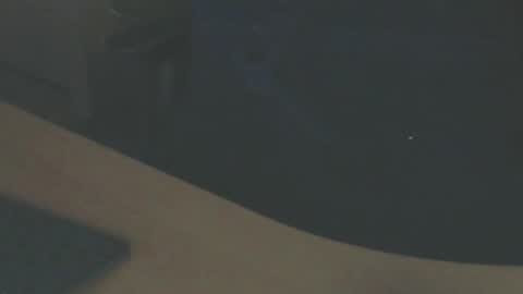 Snapshot of shaved164 chatting on 02/14/25, 04:52 Frans online show from 02/14/25, 04:52