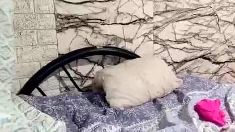 Snapshot of shayka09 chatting on 03/23/26, 05:44 shayka09 online show from 03/23/26, 05:44