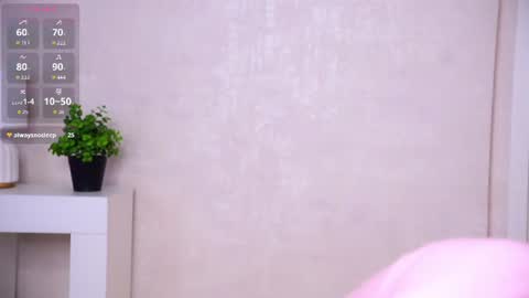 sheenagear online show from 06/26/26, 02:16