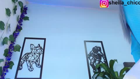 Snapshot of sheila_bigcok chatting on 02/25/25, 12:36 SHEILA  online show from 02/25/25, 12:36