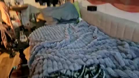 sheilasub online show from 12/16/25, 11:48