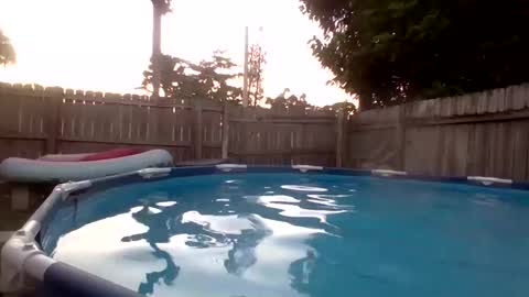 Snapshot of shelbyannn chatting on 09/19/25, 11:16 Red online show from 09/19/25, 11:16