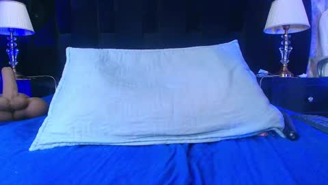 Shelsy online show from 02/12/25, 02:54