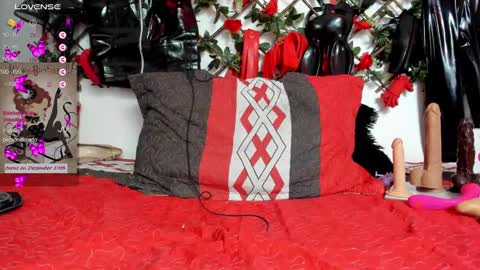 Snapshot of shengyi_blue chatting on 12/17/24, 01:38  anyela7773 online show from 12/17/24, 01:38