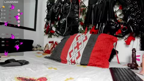 Snapshot of shengyi_blue chatting on 12/29/24, 09:17  anyela7773 online show from 12/29/24, 09:17