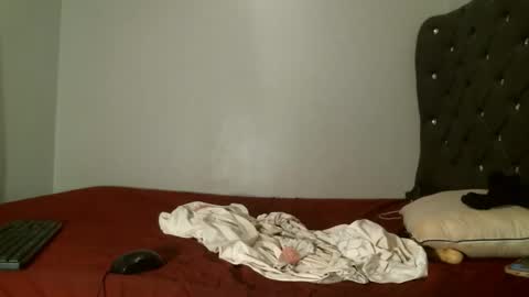 Snapshot of shiro254 chatting on 02/07/26, 10:52 Shi-ro online show from 02/07/26, 10:52