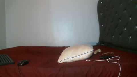 Snapshot of shiro254 chatting on 02/17/26, 08:15 Shi-ro online show from 02/17/26, 08:15