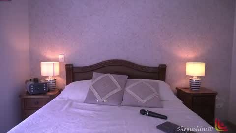 Snapshot of shopieshine chatting on 04/15/26, 04:47 Sophie online show from 04/15/26, 04:47