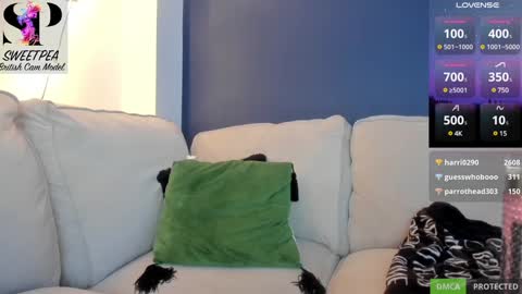 short sweetpea online show from 12/09/24, 08:54