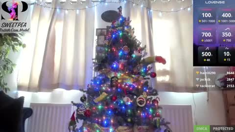 short sweetpea online show from 12/14/24, 01:16