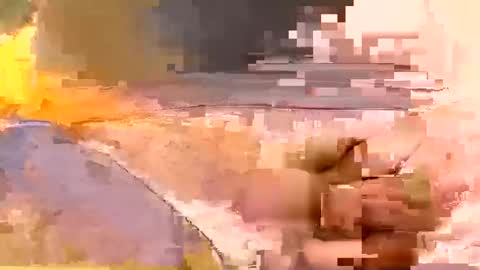 showsme online show from 02/19/26, 07:59