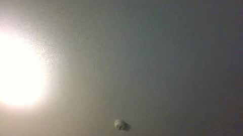 Snapshot of showuthed chatting on 07/14/26, 02:38 showuthed online show from 07/14/26, 02:38
