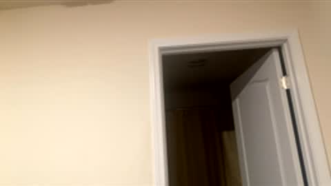 shurthingxx online show from 12/01/25, 03:11