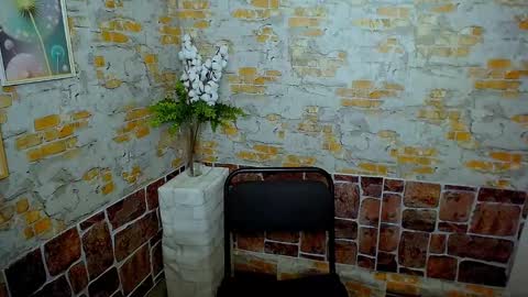 Snapshot of shy_sabrina_ chatting on 01/30/25, 11:33 shy_sabrina_ online show from 01/30/25, 11:33