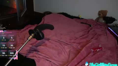 Snapshot of shygirlfromeurope chatting on 01/31/25, 12:28 Vivian  online show from 01/31/25, 12:28