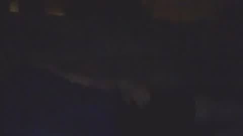 Snapshot of sickone6669947170 chatting on 02/11/26, 08:19 Bill online show from 02/11/26, 08:19