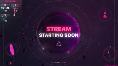 Snapshot of sideswitch chatting on 01/13/25, 02:28 sideswitch online show from 01/13/25, 02:28