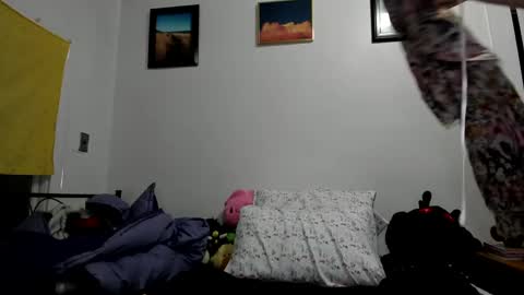 Sierra online show from 01/23/25, 04:41
