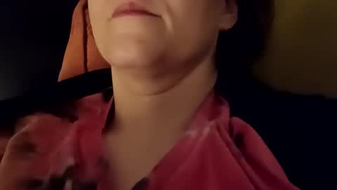 Snapshot of sigbver chatting on 03/06/26, 04:09 Bush with a class 3 rating online show from 03/06/26, 04:09